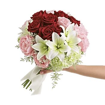 Delicate Petal Cascade