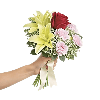 Crimson Rose Elegance