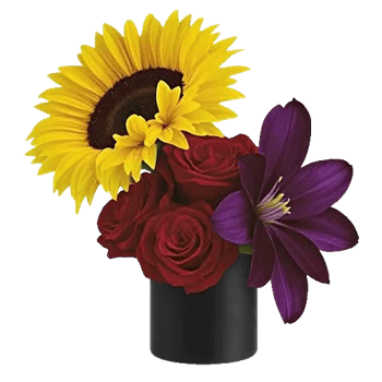 Radiant Bloom Cascade