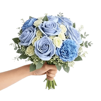 Elegant Blue Roses