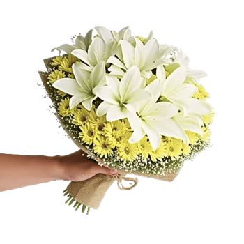 Ivory Garden Grace