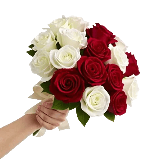 Crimson Rose Elegance