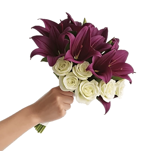 Elegant Calla Lilies