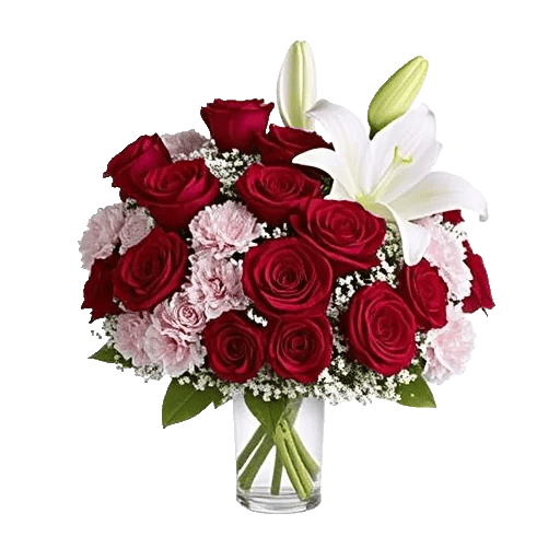 Crimson Rose Elegance