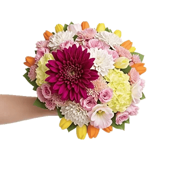 Radiant Bloom Cascade