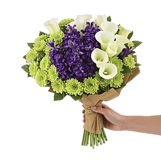 Elegant Calla Lilies
