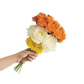 Petal Radiance Bliss