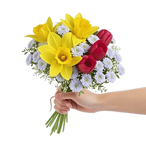 Blossom Harmony Display