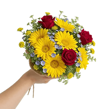 Petal Harmony Bliss