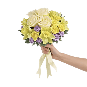 Ivory Blossom Radiance