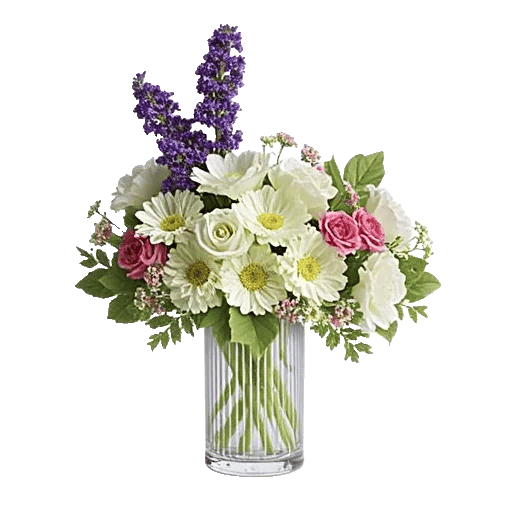 Ivory Blossom Radiance