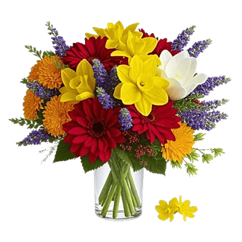 Petal Radiance Bliss