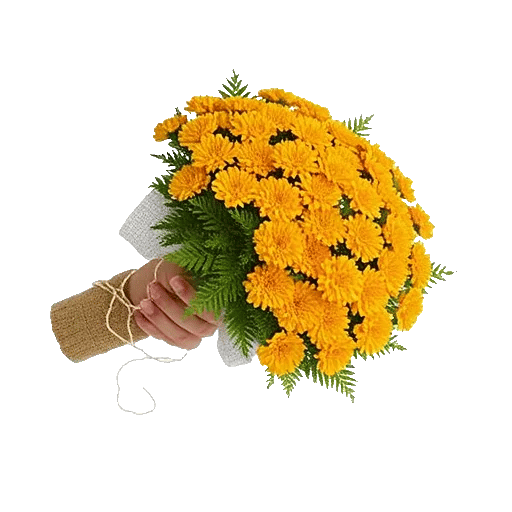 Golden Petal Harmony