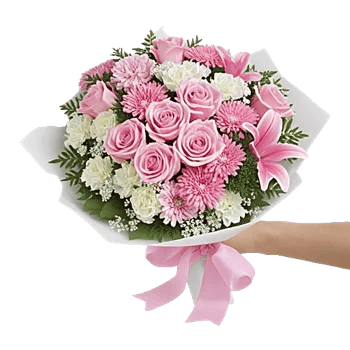 Pastel Pink Roses