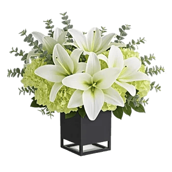 Graceful Lily Display