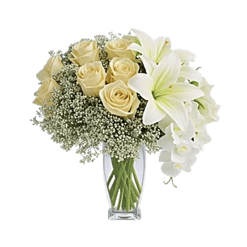 Ivory Blossom Radiance