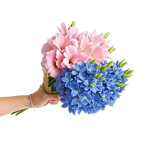 Blossom Petal Serenity