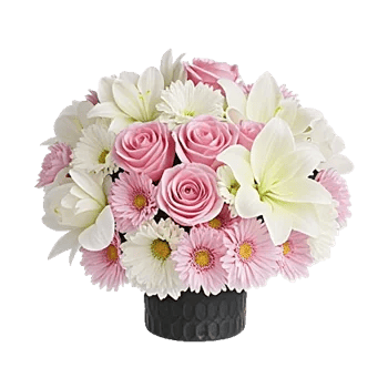 Petal Radiance Bliss