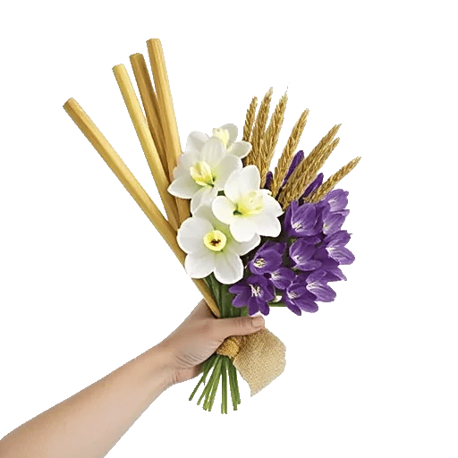 Modern White Orchids