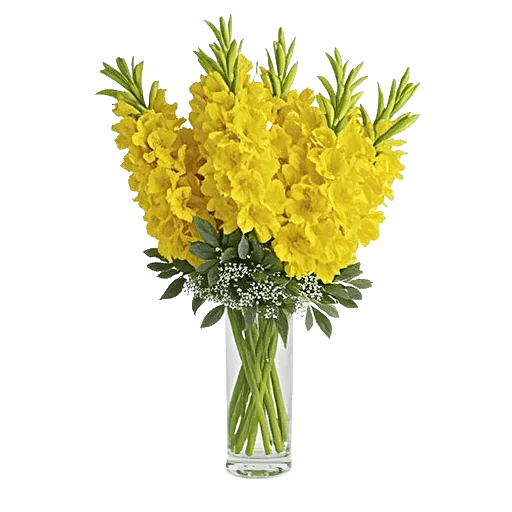 Radiant Bloom Cascade