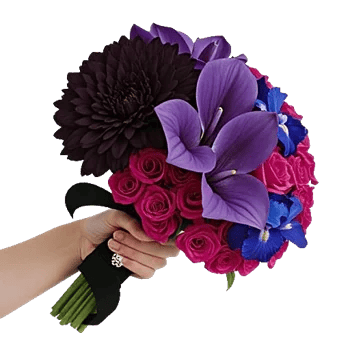 Gothic Dark Roses