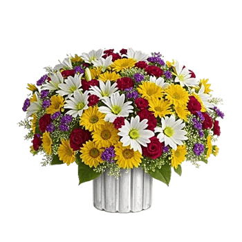Graceful Lily Display