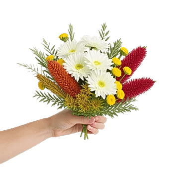 Blossom Harmony Display