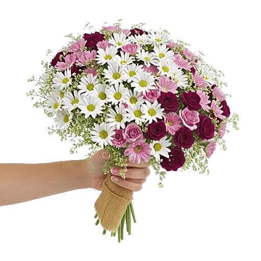 Blossom Petal Serenity