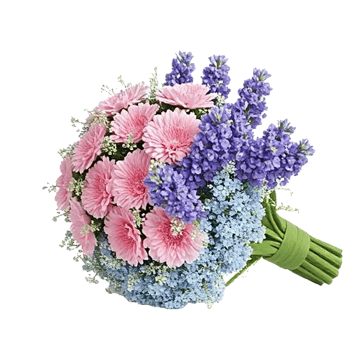 Blossom Petal Serenity