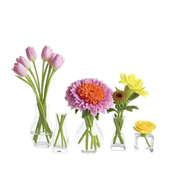 Petal Radiance Bliss