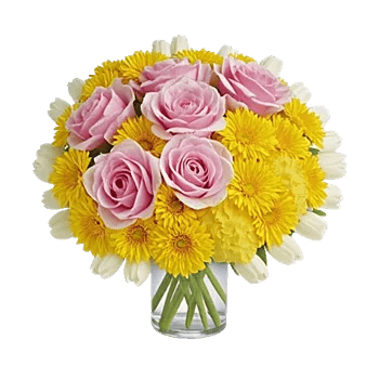 Petal Radiance Bliss