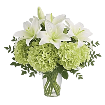 Ivory Blossom Radiance