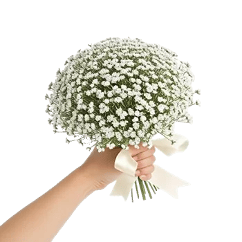 Blossom Radiant Whisper