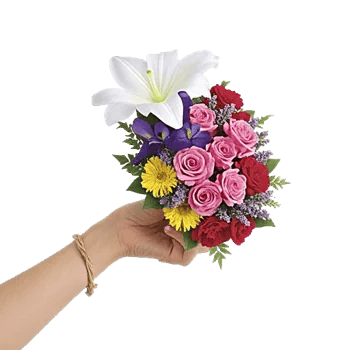 Ivory Blossom Radiance