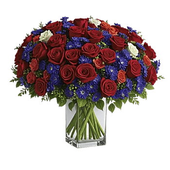 Radiant Rose Symphony