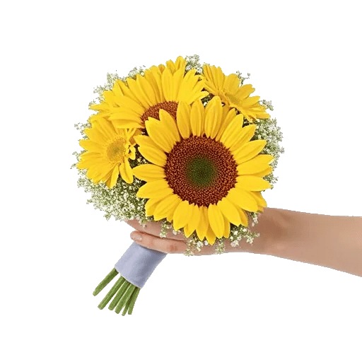 Twinkling Sunflower Dance