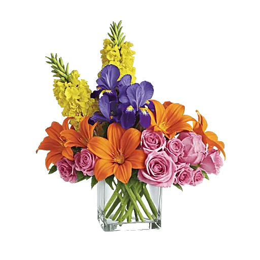 Petal Radiance Bliss
