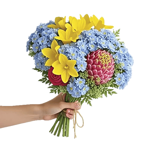 Blossom Petal Serenity