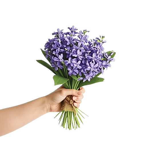 Delicate Petal Cascade