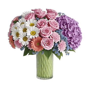 Petal Harmony Bliss