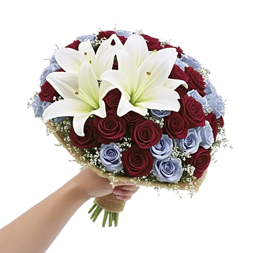 Blushing Rose Symphony