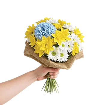 Blossom Petal Serenity