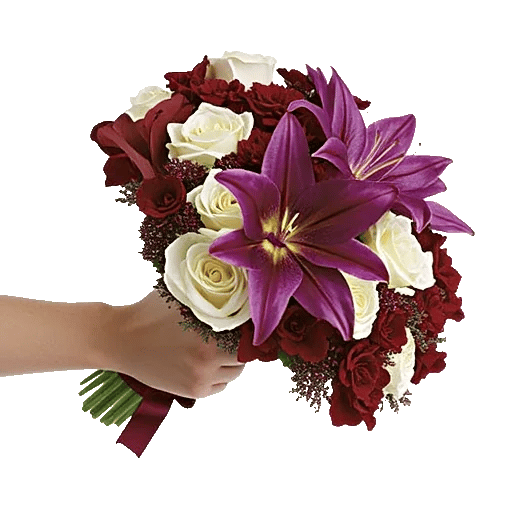 Elegant Calla Lilies