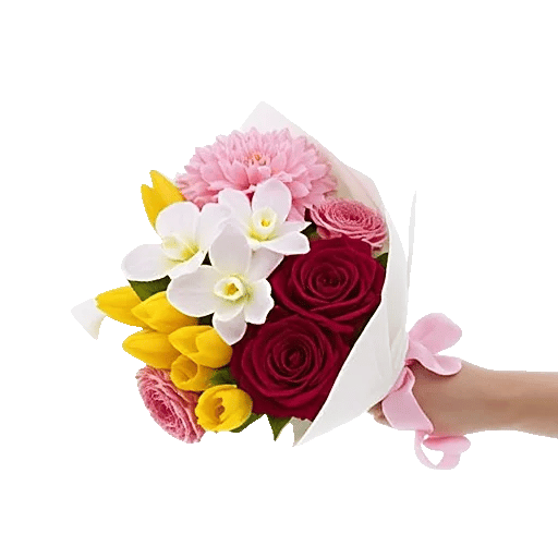 Crimson Rose Elegance