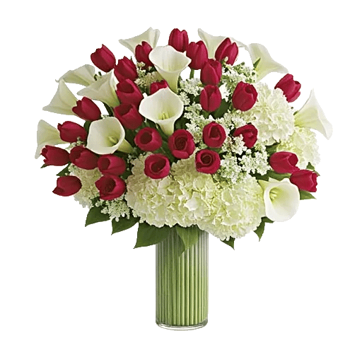 Elegant Calla Lilies