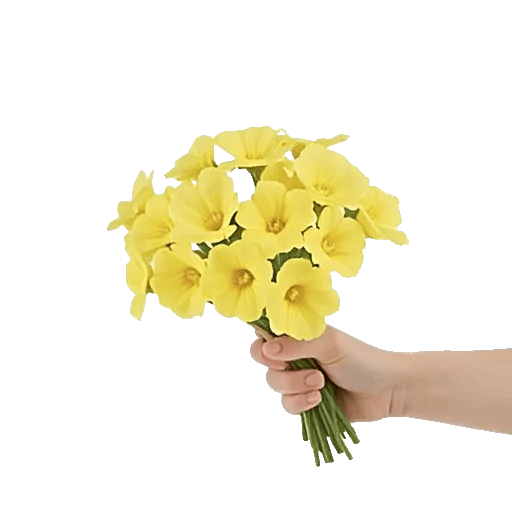 Blossom Harmony Display