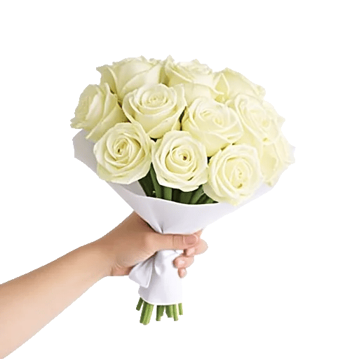 Ivory Garden Grace