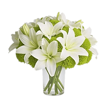 Graceful Lily Display