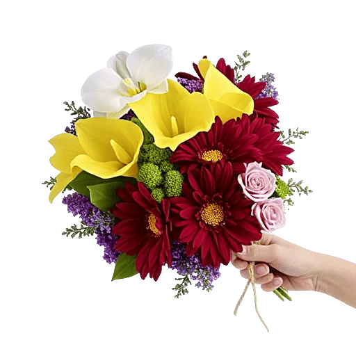 Modern White Orchids