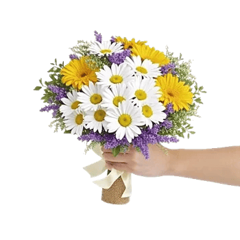 Petal Harmony Bliss